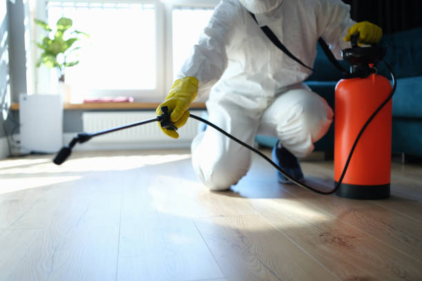Reliable Odor Removal contractor in Stanton, CA by Dulley Family Biohazard Services